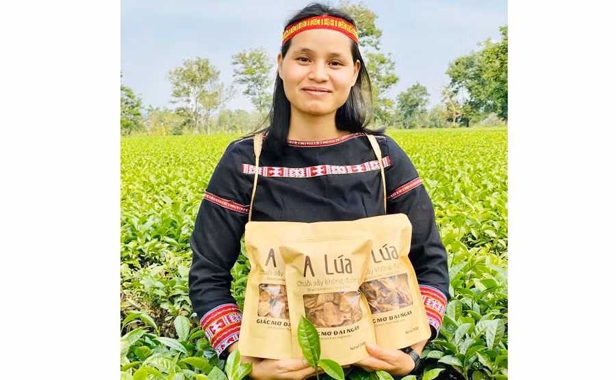 Công ty TNHH một thành viên A Lúa (thôn 6, xã Nghĩa Hưng, huyện Chư Păh) đang triển khai xây dựng thương hiệu cho sản phẩm chuối sấy A Lúa. Ảnh: M.K