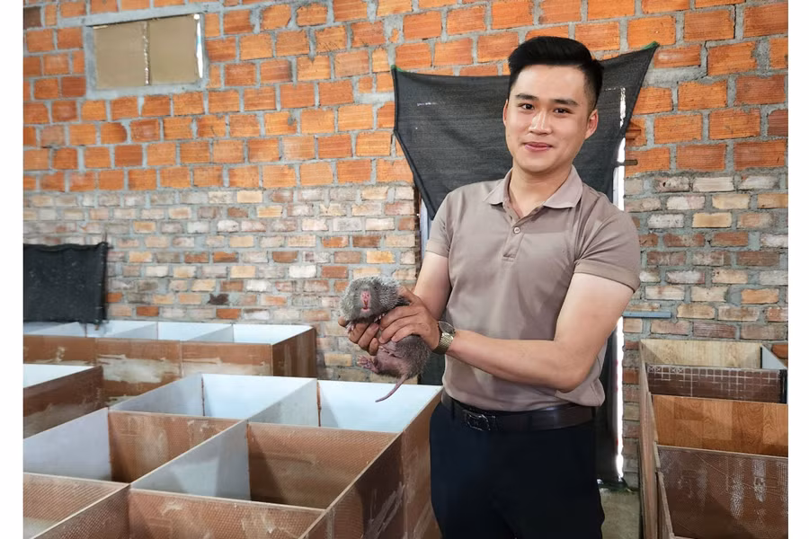 Nhờ nuôi dúi thành công, mỗi năm, anh Nguyễn Văn Cường-Phó Bí thư Đoàn xã Dun thu về hơn 120 triệu đồng. Ảnh: P.N