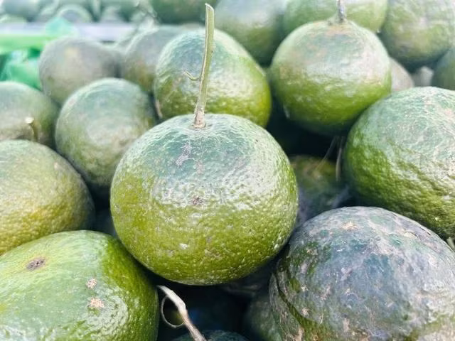 Cam có tính hàn, công dụng giải nhiệt, trừ độc