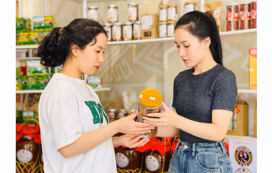 Ngoài ứng dụng HACCP và ISO 22000:2018, bò một nắng Tuấn Hậu (huyện Krông Pa) còn được triển khai hệ thống quản lý chất lượng như truy xuất nguồn gốc sản phẩm, sở hữu trí tuệ thương hiệu, nhãn hiệu. Ảnh: M.K