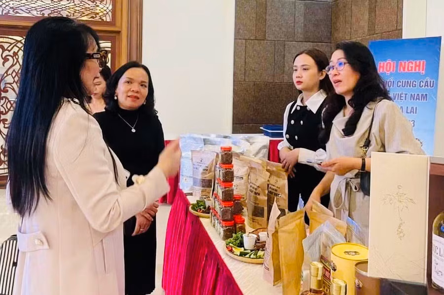 Măng le rừng là một trong 4 sản phẩm của hộ kinh doanh Ngọc Thạch (xã Ia Rsươm, huyện Krông Pa) kỳ vọng vươn ra thị trường sau khi được nâng cấp lên OCOP 3 sao cấp huyện. Ảnh: Mai Ka