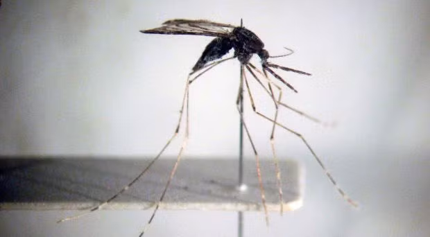 Nguồn: blogs.biomedcentral.com