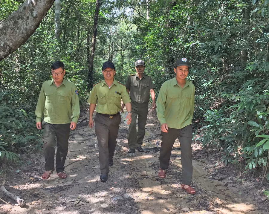 Lực lượng Kiểm lâm huyện Mang Yang phối hợp với cán bộ Ban Quản lý rừng phòng hộ Mang Yang tuần tra bảo vệ rừng. Ảnh: N.D