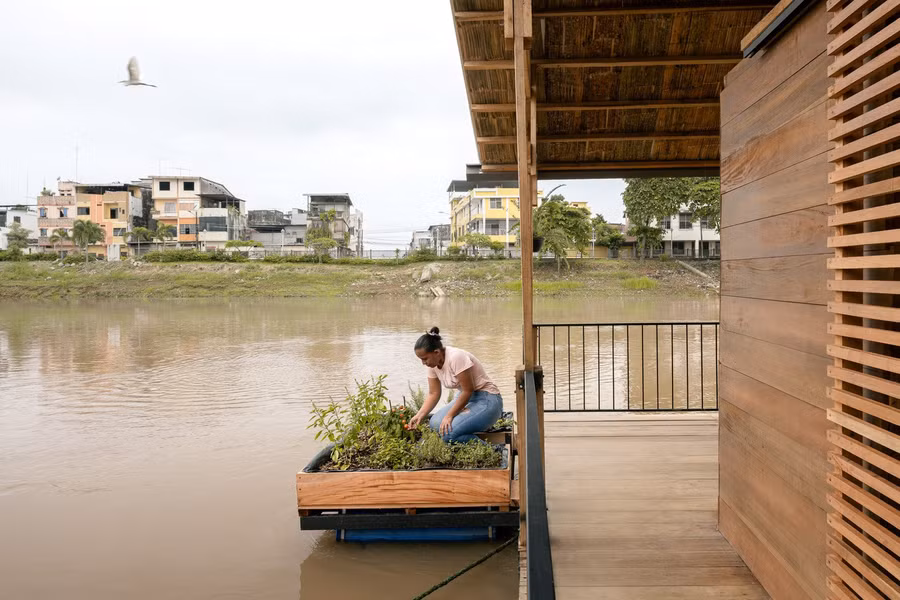 Gia chủ còn có thể tạo một bè trồng rau nổi trên sông để cung cấp nguồn rau sạch cho gia đình. Gia chủ còn có thể tạo một bè trồng rau nổi trên sông để cung cấp nguồn rau sạch cho gia đình.
