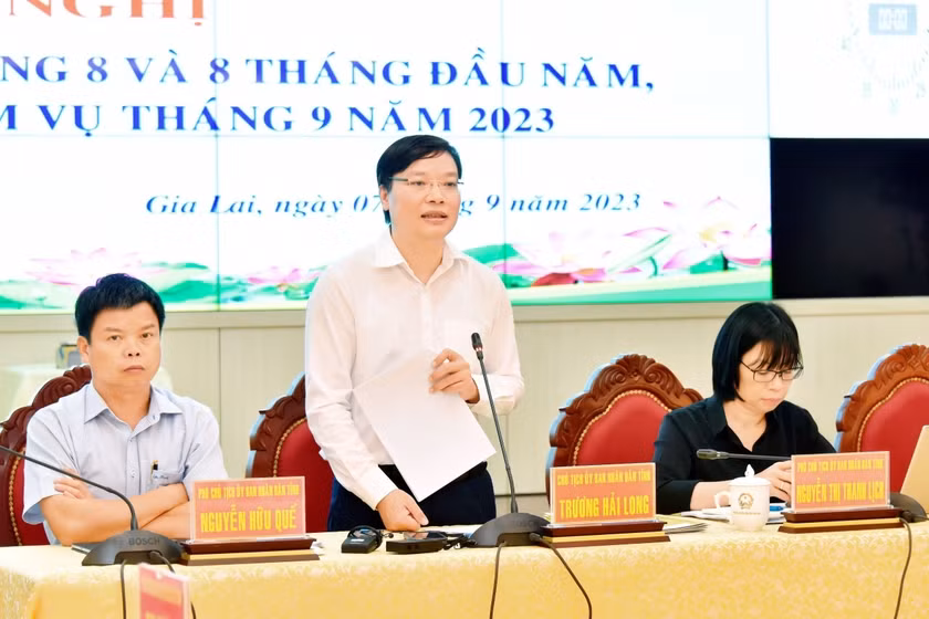 Chủ tịch UBND tỉnh Trương Hải Long phát biểu tại hội nghị. Ảnh: Đức Thụy