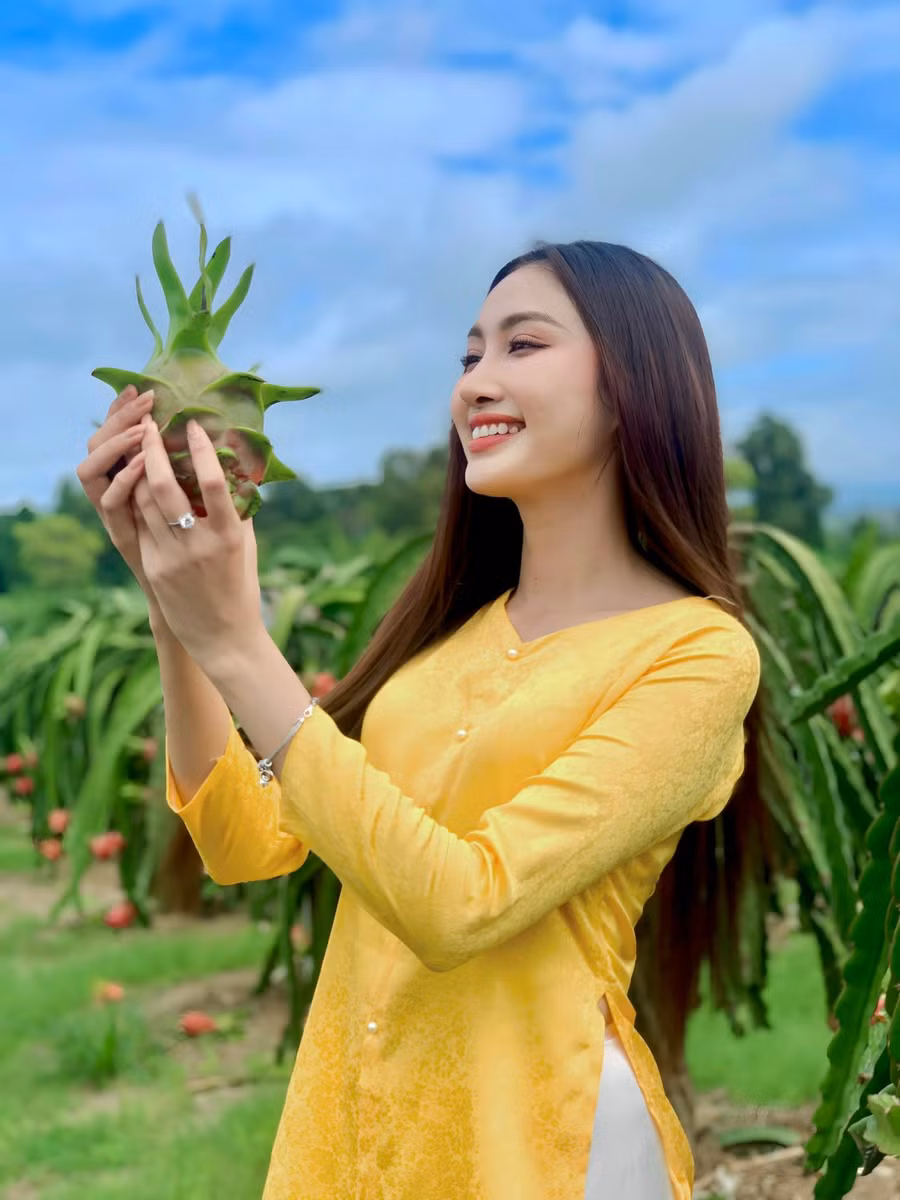 Mặt khác, Đoàn Hồng Trang cũng cho biết dù năm nay thanh long được mùa nhưng giá vẫn chưa cao. Vì vậy, cô mong muốn kêu gọi mọi người ủng hộ nông sản Việt để bà con có thêm động lực trồng trọt cho mùa vụ tới. Ảnh: NVCC