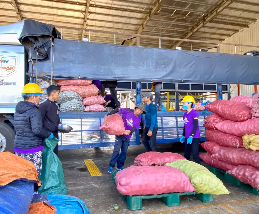 Tập kết chanh dây tại Nhà máy chế biến chanh dây Quicornac. Ảnh: Hà Duy
