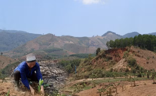 Nhu cầu đất ở, đất sản xuất cho đồng bào dân tộc thiểu số vẫn còn lớn. Nguồn ảnh: Hùng Võ/Vietnam+ Nhu cầu đất ở, đất sản xuất cho đồng bào dân tộc thiểu số vẫn còn lớn. Nguồn ảnh: Hùng Võ/Vietnam+