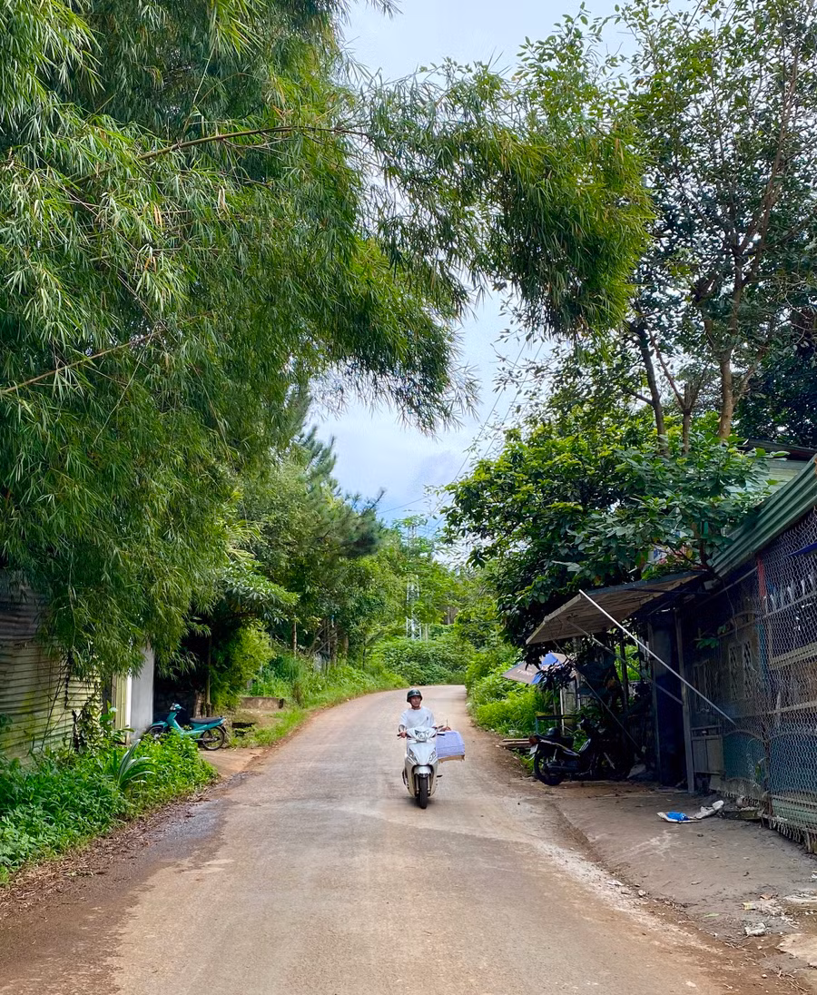 Con dốc Nguyễn Trung Trực bình yên nằm bên hông chùa Minh Thành không sôi động, ồn ã. Dốc có hai bên là những hàng cây xanh ngắt tạo cảm giác rất bình yên, nhẹ nhàng và thư thái.