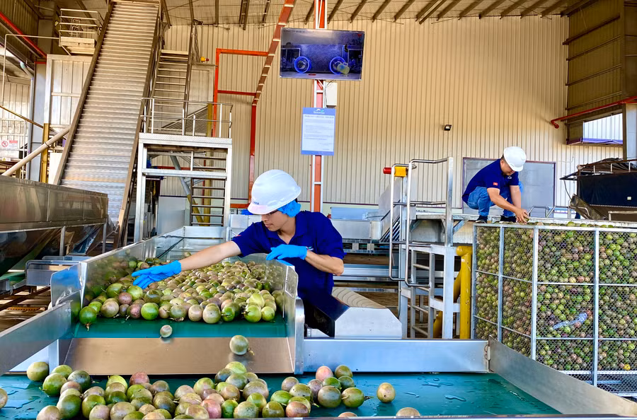 Nhà máy sản xuất, chế biến chanh dây tại KCN Trà Đa (TP. Pleiku). Ảnh: Hà Duy