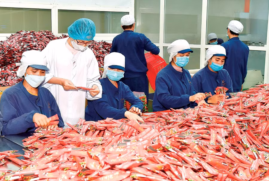 Năm 2022, hoạt động xuất khẩu của tỉnh có nhiều khởi sắc. Ảnh: Đ.T Năm 2022, hoạt động xuất khẩu của tỉnh có nhiều khởi sắc. Ảnh: Đ.T