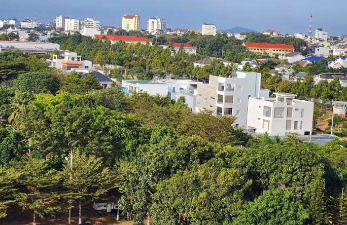 Buôn Ma Thuột là một trong những thành phố có tỉ lệ cây xanh cao nhất nước
