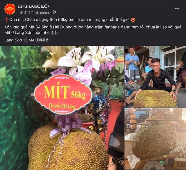 Dân mạng liên tục chia sẻ về hình ảnh trái mít 56 kg ở thị trấn Chi Lăng những ngày qua