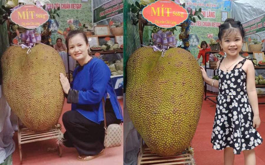 Nhiều người thích thú chụp ảnh cùng mít khổng lồ ở Chi Lăng