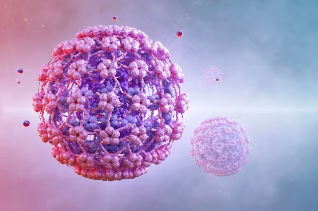Virus HPV có thể gây nhiều tác động đến nam giới - Ảnh: NEWS MEDICAL