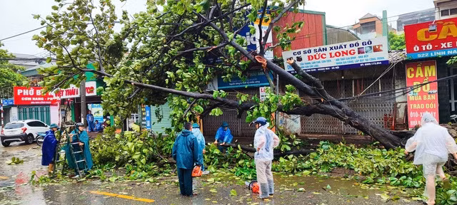 Đường phố Hà Nội ngổn ngang sau bão