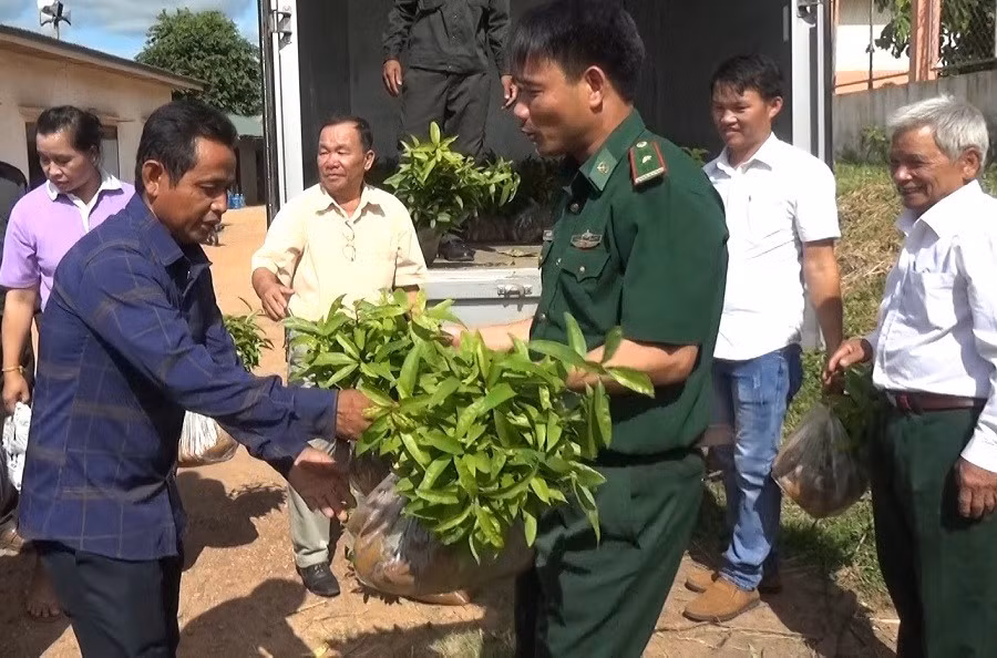 Đồn Biên phòng cửa khẩu quốc tế Lao Bảo và nhân dân bản Ka Tăng (Quảng Trị) tặng giống cây cho người dân bản Densavan (Savannakhet)