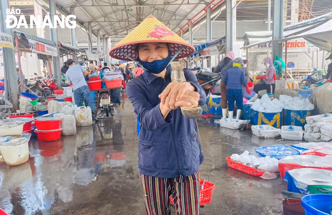 Nhiều phụ nữ gắn bó tuổi xuân bên những gánh cá thuê tại cảng cá Thọ Quang từ đêm khuya cho đến sáng hôm sau. Câu nói “Gánh nhiều thì no, gánh ít thì đói” luôn hiện hữu trong tâm trí họ. Ảnh: H.T.V Nhiều phụ nữ gắn bó tuổi xuân bên những gánh cá thuê tại cảng cá Thọ Quang từ đêm khuya cho đến sáng hôm sau. Câu nói “Gánh nhiều thì no, gánh ít thì đói” luôn hiện hữu trong tâm trí họ. Ảnh: H.T.V