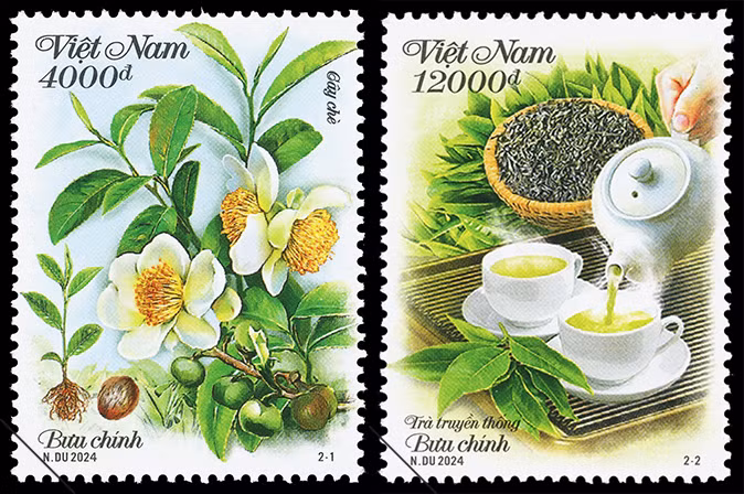 Giới thiệu bộ tem cây chè.