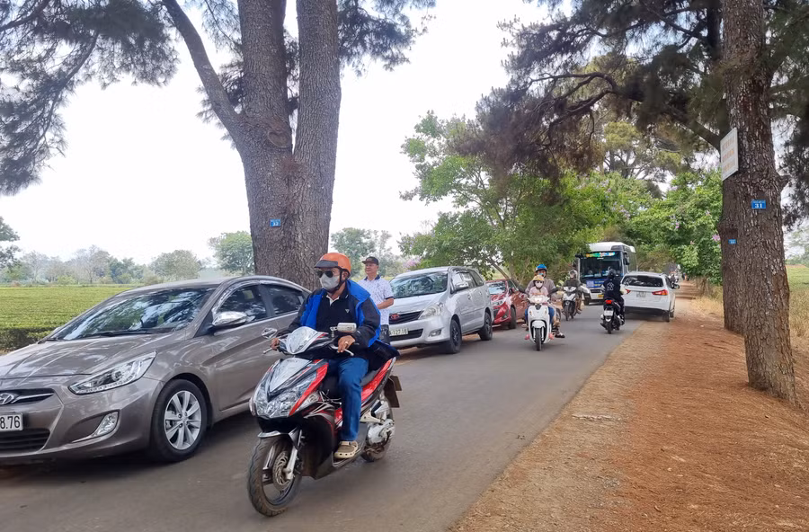 Dịp lễ có rất nhiều đoàn từ các tỉnh, thành đổ về khu vực Hàng thông trăm tuổi, Biển Hồ chè.