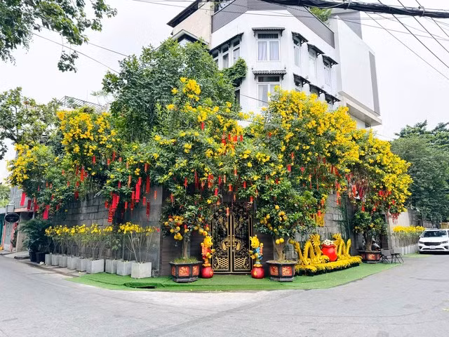 Đàm Vĩnh Hưng trang hoàng biệt thự