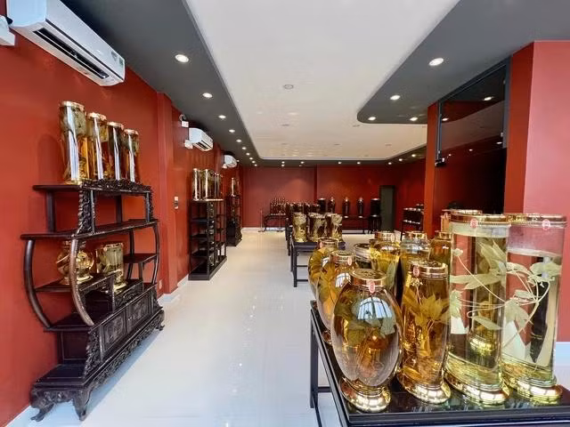 Một góc phòng trưng bày mà ông Việt gọi là Trung tâm “Minh bạch sâm”