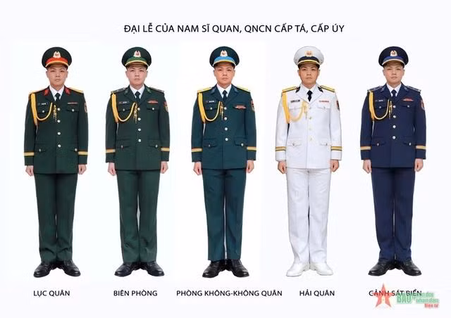 Mẫu lễ phục đại lễ của nam sĩ quan, quân nhân chuyên nghiệp cấp tá, cấp úy