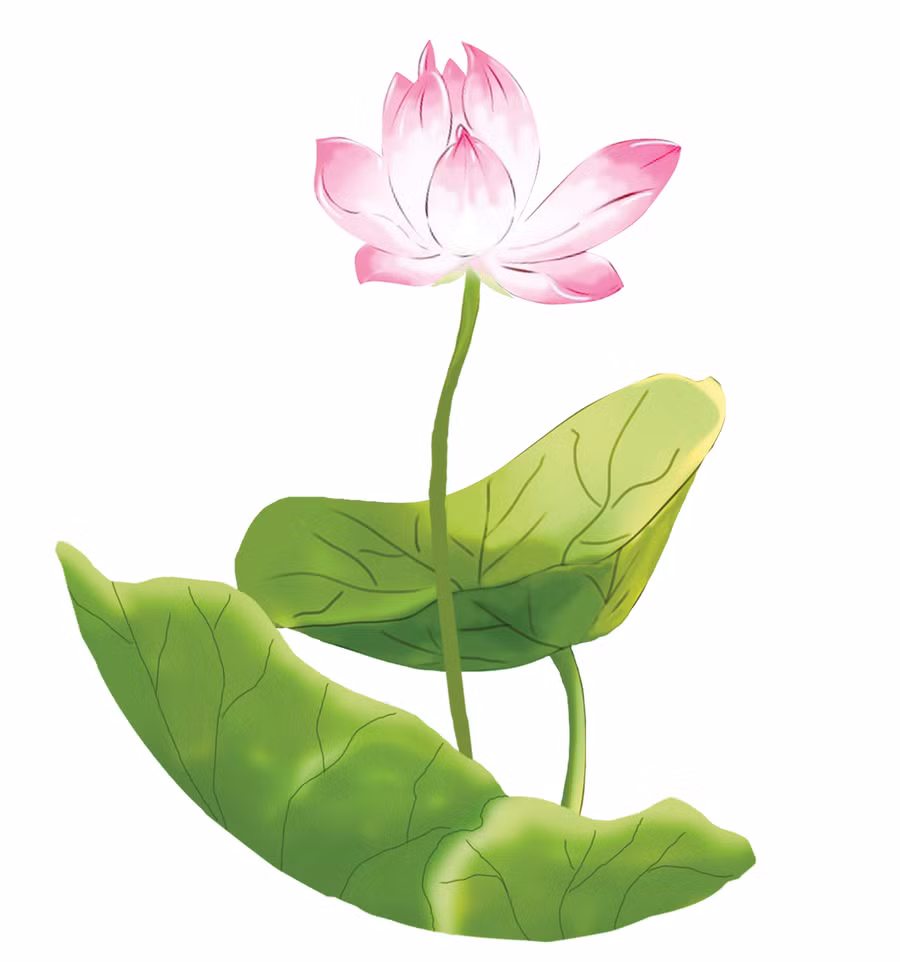 Minh họa: H.T
