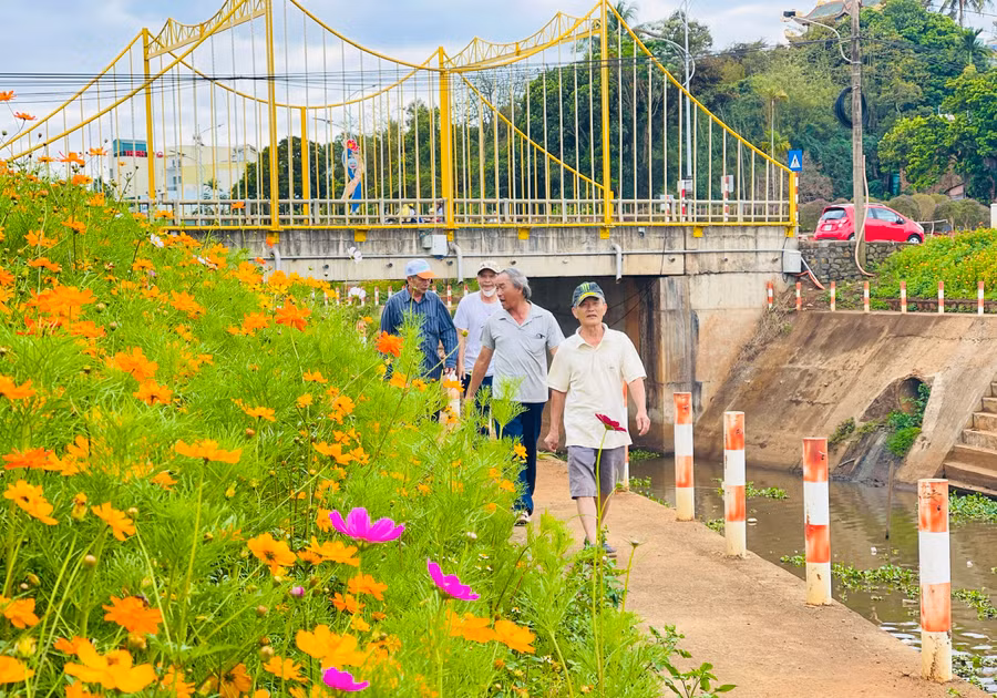 Các loại hoa đua nhau khoe sắc, trở thành điểm đến thú vị cho nhiều người. Ảnh: M.K