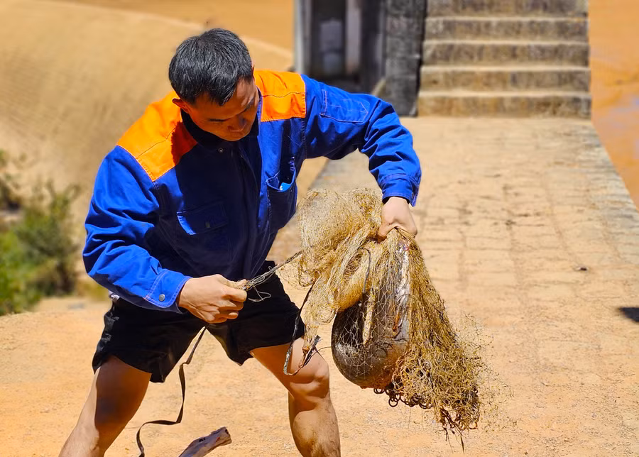 Trong hôm nay, nhiều người tiếp tục đổ về hồ Ankroet bắt cá hoặc xem cảnh náo nhiệt Trong hôm nay, nhiều người tiếp tục đổ về hồ Ankroet bắt cá hoặc xem cảnh náo nhiệt