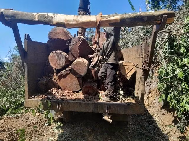 Xe vận chuyển gỗ trái phép trong rừng