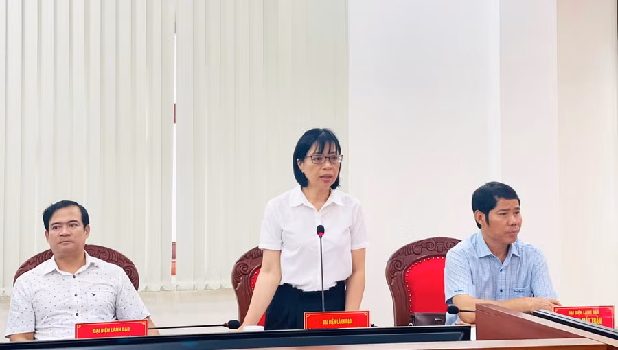 Phó Chủ tịch UBND tỉnh Nguyễn Thị Thanh Lịch tham gia ý kiến tại hội nghị. Ảnh: A.H