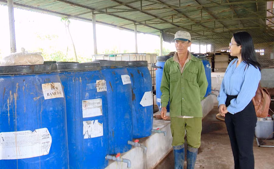 Ông Đinh Minh Cảnh-Quản lý Sport Farm giới thiệu về các loại phân bón hữu cơ do trang trại tự ủ. Ảnh: M.T