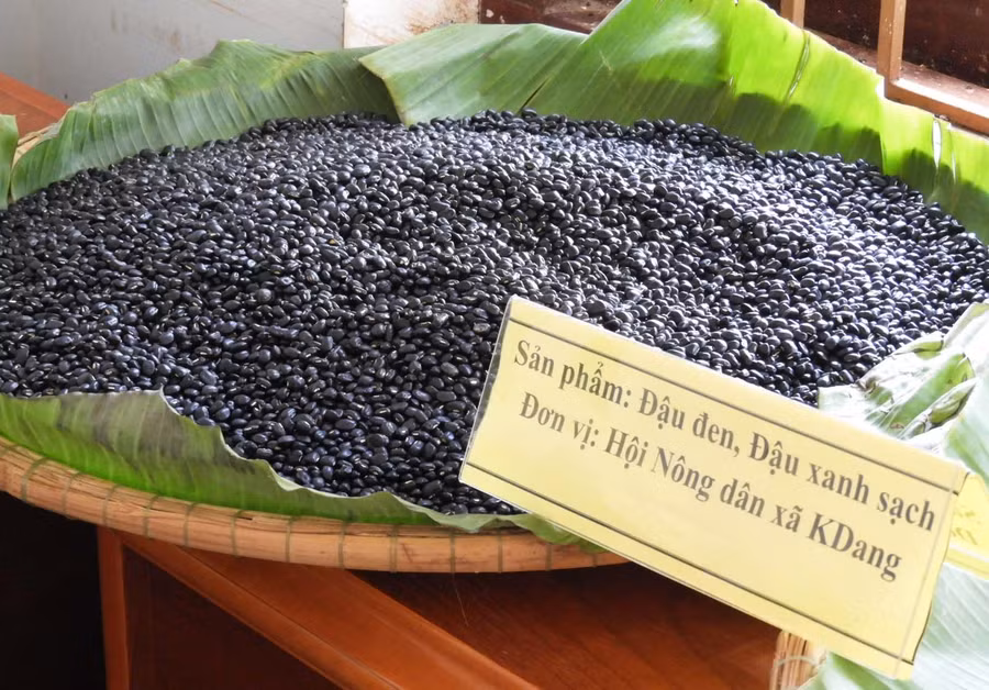 Sản phẩm nông nghiệp của bà con nông dân xã Kdang, huyện Đak Đoa. Ảnh: Thanh Nhật