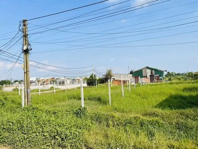 Nhiều trường hợp người dân đi làm sổ đỏ không phải đóng tiền sử dụng đất