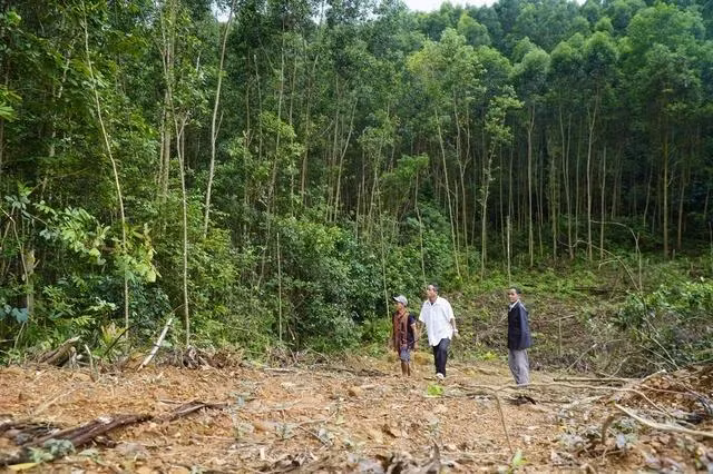 Người Ho Rum quanh năm sống nhờ rừng