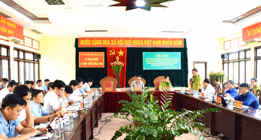 Quang cảnh hội nghị đánh giá kết quả thu hồi đất rừng bị lấn chiếm để trồng cây phù hợp với mục đích lâm nghiệp và trồng rừng, giao rừng, khoán rừng cho các hộ gia đình, cộng đồng dân cư. Ảnh: Minh Nguyễn Quang cảnh hội nghị đánh giá kết quả thu hồi đất rừng bị lấn chiếm để trồng cây phù hợp với mục đích lâm nghiệp và trồng rừng, giao rừng, khoán rừng cho các hộ gia đình, cộng đồng dân cư. Ảnh: Minh Nguyễn
