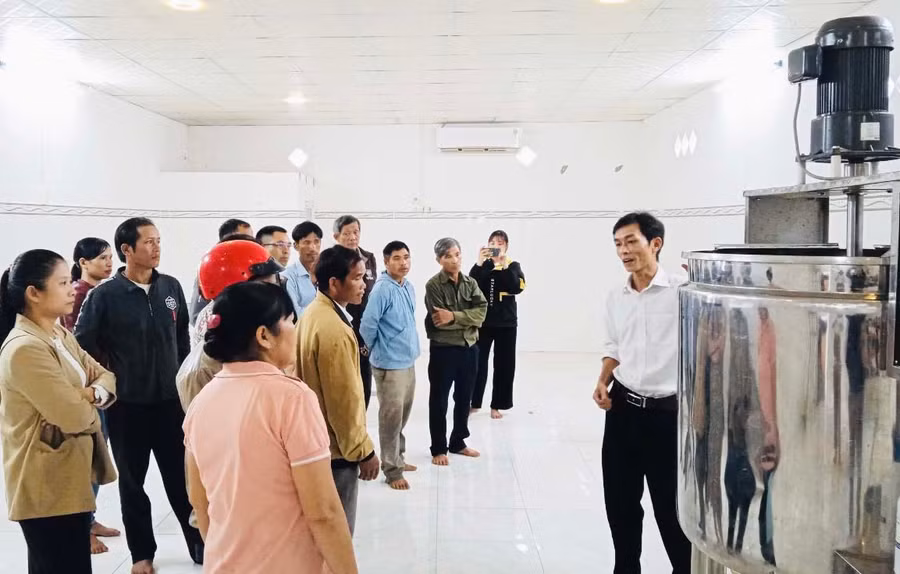 Trung tâm Ứng dụng tiến bộ KH-CN tỉnh giới thiệu cho các đơn vị, cá nhân về quy trình sản xuất và chế biến bơ. Ảnh: Mai Ka