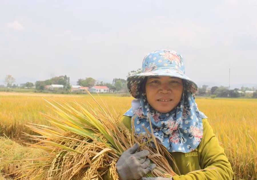Chị Ksor H'Hoai (buôn Tul, xã Ia Broăi) phấn khởi khi diện tích lúa của gia đình cho năng suất cao. Ảnh: Vũ Chi