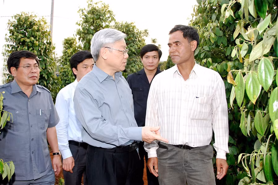 Tổng Bí thư Nguyễn Phú Trọng thăm vườn hồ tiêu của nông dân xã Chư Pơng (huyện Chư Sê) ngày 15-4-2011. Ảnh: Đ.T