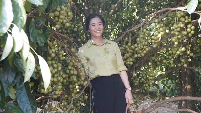 Du khách tham quan, chụp ảnh tại vườn dâu da của nhà ông Đặng Văn Cấp Du khách tham quan, chụp ảnh tại vườn dâu da của nhà ông Đặng Văn Cấp