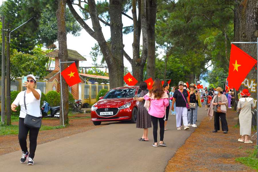 Đông đảo khách du lịch trong và ngoài tỉnh đến chụp ảnh và tham quan khu vực Biển Hồ chè, hàng thông trăm tuổi. Ảnh: Hoàng Hoài