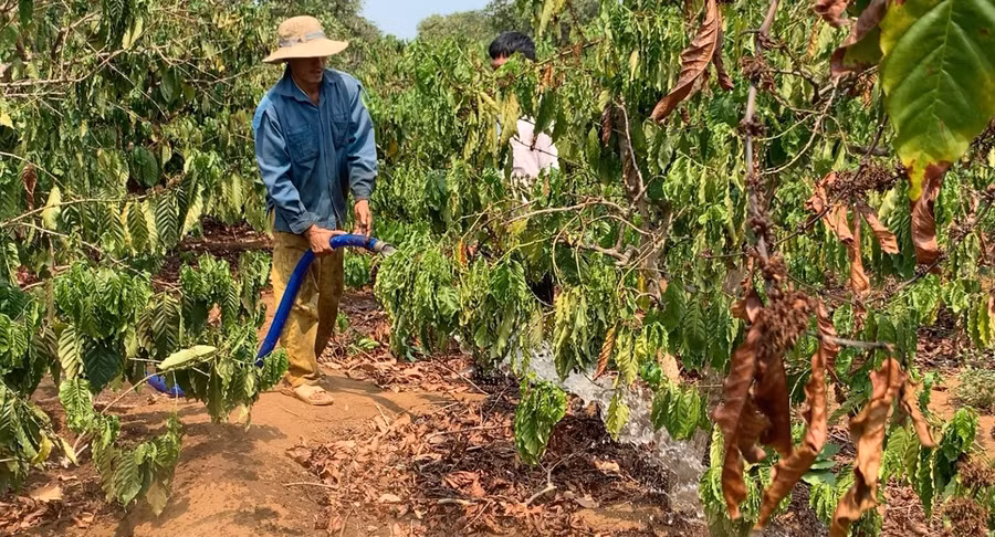Ngành điện Gia Lai triển khai nhiều giải pháp đảm bảo cung ứng điện phục vụ cho mùa bơm tưới. Ảnh: H.D