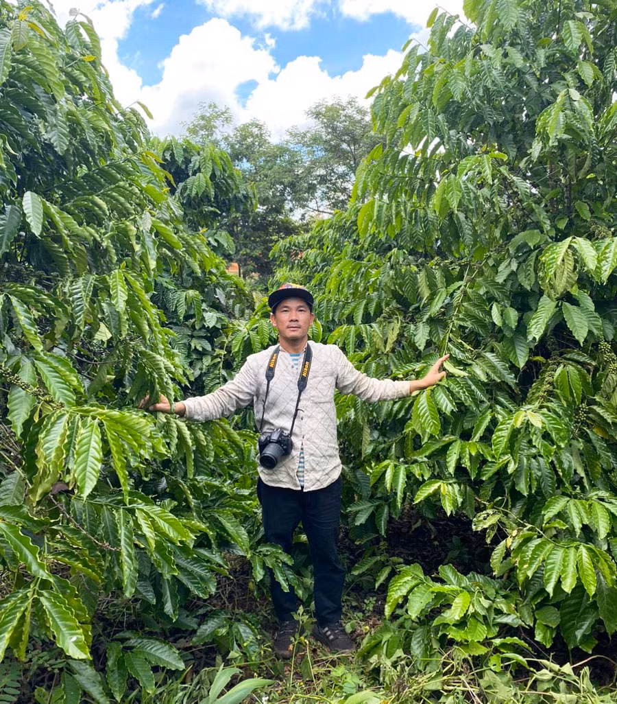 Ông Nguyễn Hữu Long bên vườn cà phê của Hợp tác xã Khoa học công nghệ-Thương mại Cà phê Việt Nam. Ảnh: N.T
