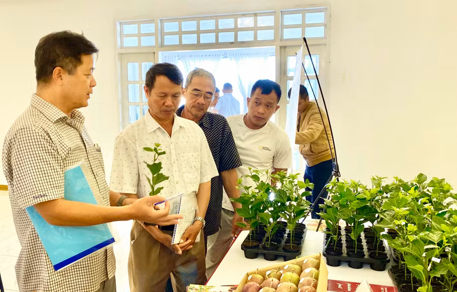 Ngành nông nghiệp Gia Lai cũng đẩy mạnh chuyển đổi số khi sử dụng có hiệu quả các phần mềm do Bộ Nông nghiệp và PTNT triển khai. Ảnh: Hà Duy