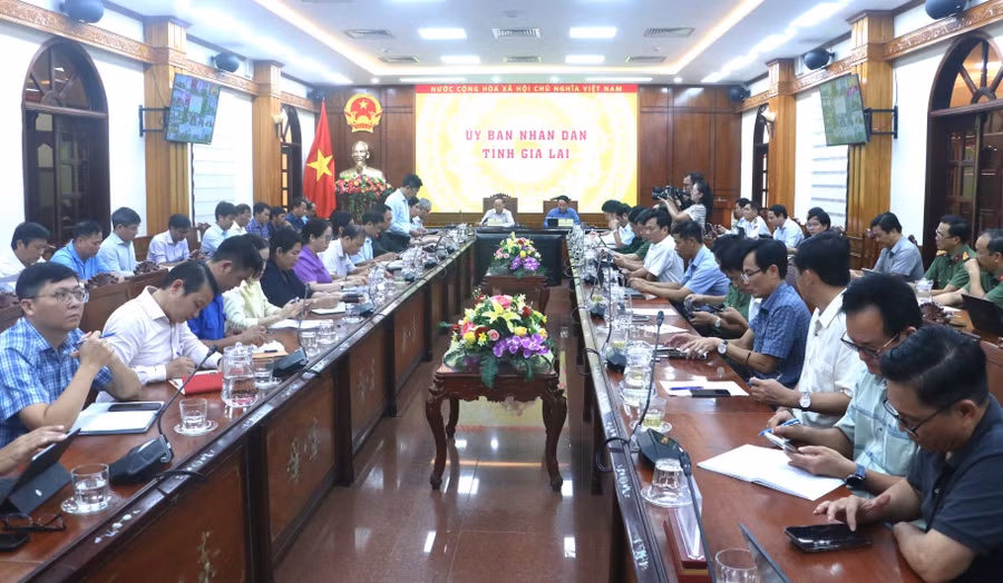quang-canh-buoi-hop-quang-tan.jpg