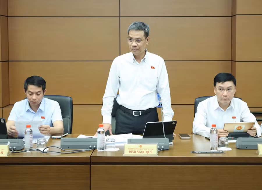 db-dinh-ngoc-quy-de-nghi-co-quan-soan-thao-nghien-cuu-mo-rong-pham-vi-dam-phan-gia-doi-voi-nguyen-lieu-lam-thuoc-6438.jpg