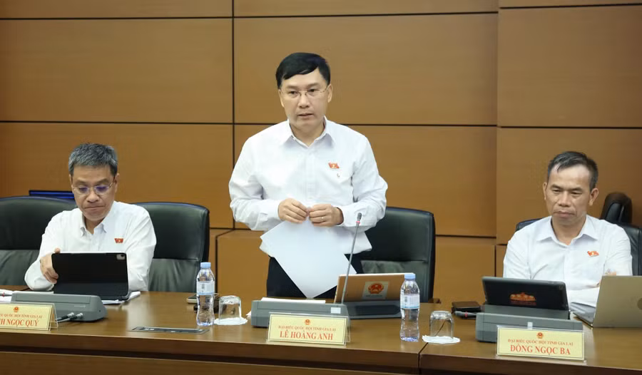 db-le-hoang-anh-de-nghi-giu-buoc-tham-tra-chinh-sach-dong-thoi-khoi-phuc-bao-cao-tong-ket-viec-thi-hanh-phap-luat-thanh-thanh-phan-bat-buoc-trong-ho-so-xay-dung-luat.jpg