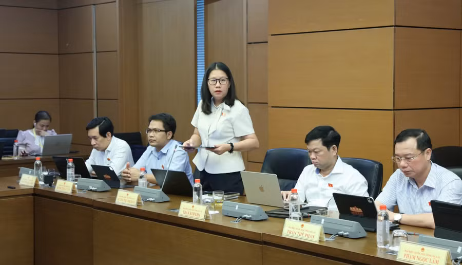 db-huynh-thi-anh-thao-de-nghi-lam-ro-truong-hop-co-so-giao-duc-co-so-kham-benh-chua-benh-to-chuc-quan-ly-viec-cung-cap-bua-an-nhung-nguoi-hoc-nguoi-benh-truc-tiep-thanh-toan.jpg