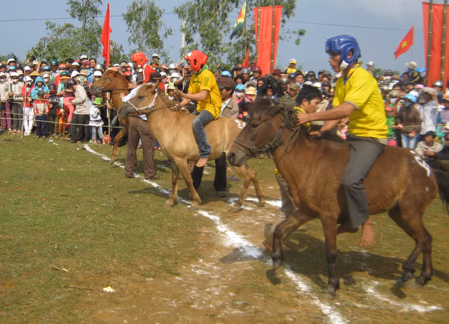 dua-ngua-2.jpg